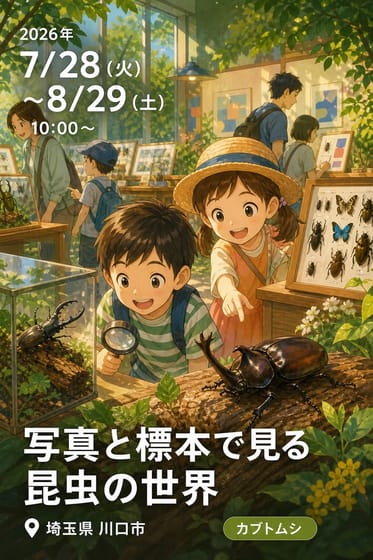 写真と標本で見る昆虫の世界