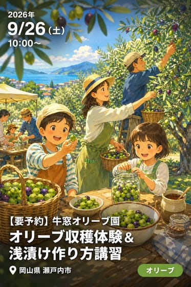 【要予約】牛窓オリーブ園 オリーブ収穫体験＆浅漬け作り方講習
