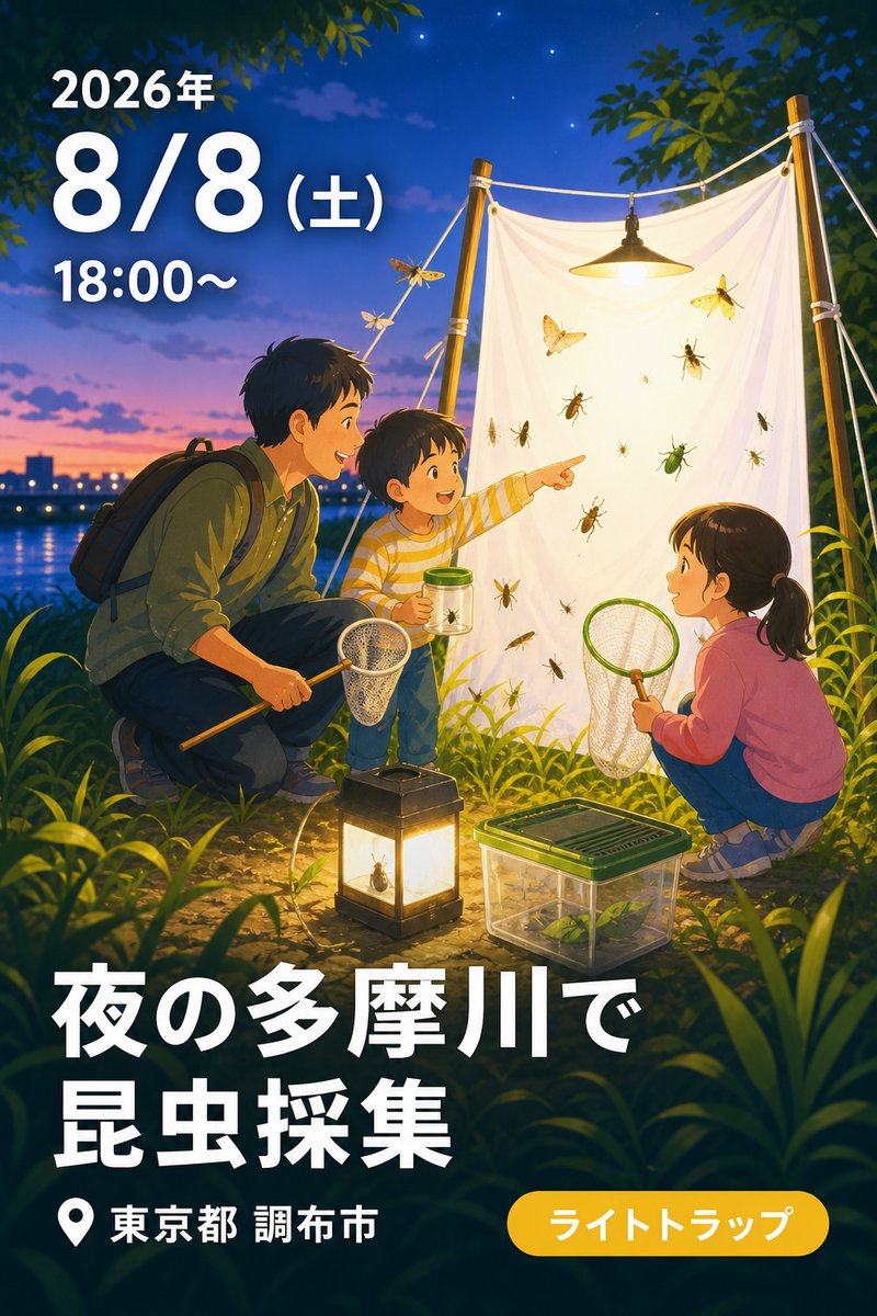 夜の多摩川で昆虫採集