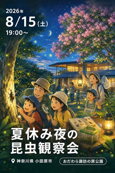 夏休み夜の昆虫観察会