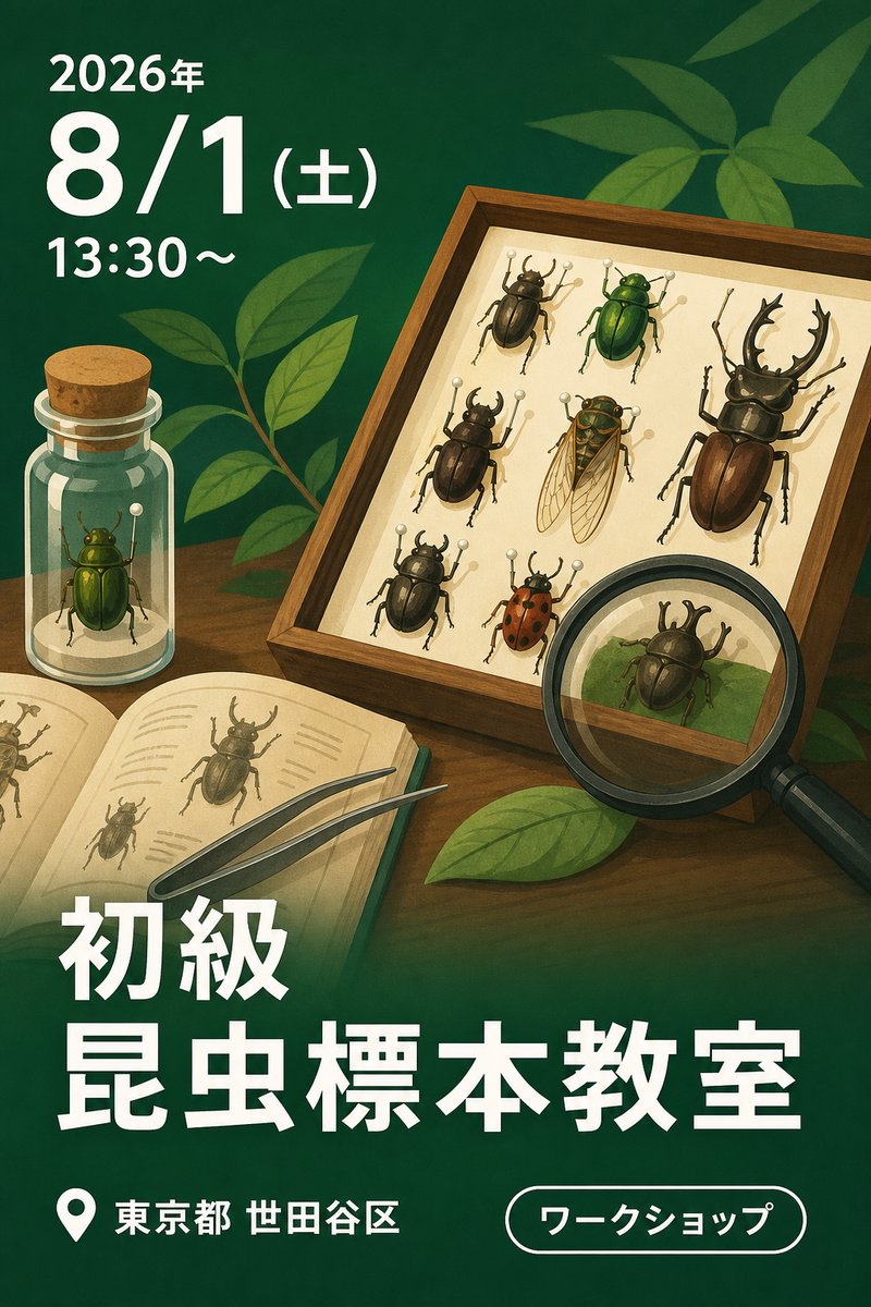 初級 昆虫標本教室