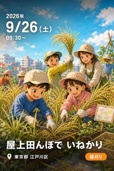屋上田んぼで いねかり