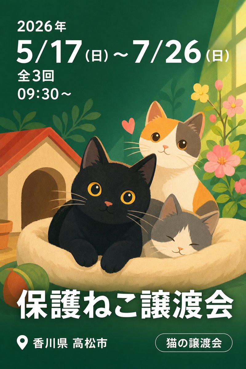 保護ねこ譲渡会