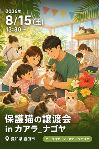 保護猫の譲渡会 in カアラ_ナゴヤ