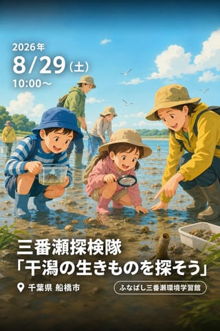 三番瀬探検隊「干潟の生きものを探そう」